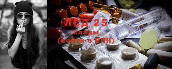 шишки Наволоки